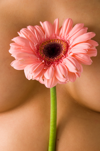 breast flower மார்பகப் புற்றுநோய் பற்றி தெரிந்துகொள்ளுங்கள் மார்பகம் என்றால் என்ன? ஒவ்வொரு மார்பகமும் லோப்ஸ் (lobes) எனப்படும் 6 முதல் 9 அடுக்கடுக்கான மடிப்புத் தொங்கு சதைகளானது. ஒவ்வொரு தொங்கு சதையும் லோப்யூல்ஸ் (lobules) எனப்படும் பல சிறு இதழ்களைக் கொண்டு பாலைச் சுரக்கும் சில டஜன் சிறு முனைப் பகுதி குமிழ்களாக முடியும். இத்தகைய மடிப்புத்தொங்கு சதைகள், சிறு இதழ்கள், முனைப் பகுதி குமிழ்கள் அனைத்தையும் மெல்லிய இழை நாளங்கள் ஒன்றிணைக்கின்றன. இந்த இழை நாளங்கள் மார்பகத்தின் நடுவிலுள்ள ஆரியோல் (areole) எனப்படும் கரும் வட்டத்தின் நடுவிலுள்ள முலைக்காம்பில் ஒன்றிணைகின்றன. சிறு இதழ்களுக்கும் நாளங்களுக்கும் இடையேயுள்ள இடைப்பகுதியைக் கொழுப்புப் பொருட்கள் நிறைக்கின்றன. மார்பகத்தில் சதைப்பற்று ஏதும் இருக்காது. ஆனால் மார்பகத்தின் அடிப்பகுதியில் சதைப்பற்று இருந்து விலா எலும்புகளை மறைக்கின்றது. ஒவ்வொரு மார்பகமும் இரத்த நாளங்களையும் லிம்ப் (lymph) எனப்படும் வர்ணமற்ற திரவத்தை எடுத்துச் செல்லும் நாளங்களையும் கொண்டுள்ளது. இந்த லிம்ப் நாளங்கள் அவரை விதை வடிவிலுள்ள லிம்ப் நோட்ஸ் (Nodes) எனப்படும் முடிச்சுகளில் செல்லுகின்றன. இத்தகைய லிம்ப் நோட்ஸ்கள் கூட்டங் கூட்டமாக அக்குளின் மேலேயும் தோட்பட்டை எலும்புகளின் மேலும் மார்பகங்களிலும் உள்ளன. இத்தகைய லிம்ப் நோட்ஸ் உடலின் மற்ற பல பாகங்களிலும் உள்ளன. மார்பகப் புற்று நோய் என்றால் என்ன? மார்பகப் புற்று நோய் என்றால், மார்பகத்தில் உள்ள சில அணுக்கள் அளவுக்கதிகமாக வளர்வதாகும். புற்று அணுக்கள் மற்ற அணுக்களைக் காட்டிலும் பல வகைகளில் வேறுபட்டிருக்கும். அவை வேகமாகப் பிரிந்து வளர்ந்து சுற்றிலுமுள்ள இழைமங்களை (tissues) ஆக்கிரமிக்கும் . மார்பகப் புற்று நோயின் அறிகுறிகள் என்ன? துவக்க நிலை மார்பகப் புற்றுநோய் சாதாரணமாக வலியை உண்டாக்காது. மார்பகப் புற்றுநோய் வளரத் தொடங்கும் போது எந்தவித அடையாளமும் அறிகுறியும் இருக்காது. புற்றுநோய் வளர வளர கீழ்க்கண்ட அறிகுறிகள் ஏற்படும். 1. வீக்கம் அல்லது மார்பகம் அல்லது அக்குள் பகுதி தடிக்கும். 2. மார்பகத்தின் அளவும் வடிவும் மாறுபடும். 3. முலைக் காம்பிலிருந்து இரத்தமோ வேறு திரவமோ கசியும். 4. மார்பகத்தின் தோல், கருப்பு வளையம், முலைக்காம்பு முதலியவற்றின் வண்ணம் மாறும். (குழிவிழுதல், மடிப்பு விழுதல், சொரசொரத்தல்) 5. முலைக்காம்பு உள்ளிழுத்துக் கொள்ளும். மேற்கண்ட மாறுதல்களில் ஏதேனும் தென்பட்டால் உடனே மருத்துவரை அணுகுங்கள். எவ்வாறு மார்பகப் புற்றுநோய் கண்டறியப் படுகிறது? மார்பகப் புற்றுநோயைக் கீழ்க்கண்ட முறைகளில் கண்டறியலாம். மருத்துவ வரலாறு:- உங்களுக்கு மார்பக புற்றுநோய் உள்ளதா என்பதைக் கண்டறிய மருத்துவ வரலாறு உதவும். மருத்துவர் குடும்பத்தில் யாருக்காவது மார்பகப் புற்றுநோய் இருந்ததா, இருக்கிறதா என்று கேட்டறிவார். உங்களுடைய மாத விலக்கு விவரங்கள், உங்கள் மார்பகக் கட்டியின் புறத் தன்மைகள் குறித்து உங்களிடம் கேட்பார். மார்பகக் கட்டியைத் தொட்டுப் பார்த்தல்:- மருத்துவர் உங்கள் மார்பகத்தைத் தொட்டுப் பரிசீலனை செய்து மார்பகக் கட்டியின் இருப்பிடம், அளவு, மார்பக லிம்ப் மற்றும் லிம்ப் நோட்ஸ்களின் பொதுத்தன்மையைக் கண்டறிவார். மேமோ கிராம் (Mammo Gram) மருத்துவர் மம்மோகிராம் சோதனையைச் செய்து கொள்ளுமாறு உங்களிடம் கூறலாம். மார்பகக் கட்டிகளை, அதிலும் மிகச் சிறியவற்றைக் கண்டு பிடிக்க உதவும் ஒருவகை பயன்மிக்க மார்பகத்தை எக்ஸ்ரே பிடிக்கும் தொழில் நுட்பமாகும் இது. ஒரு தட்டு போன்ற கருவியால் உங்கள் மார்பகத்தைத் தட்டையாக அழுத்தி மார்பகத்தின் தெள்ளிய வடிவத்தை அறிய முயலப்படும். உங்கள் மார்பகக் கட்டியின் முக்கிய விவரங்களை மம்மோகிராம் உங்கள் மருத்துவருக்கு அளிக்கும். மம்மோகிராமில் ஏதேனும் ஒரு பகுதி ஐயம் உண்டாக்கினாலும், தெளிவாக இல்லாவிட்டாலும் மற்றொரு எக்ஸ்-ரே எடுக்க வேண்டியிருக்கும். அதிரொலி (Ultra Sound) அதிரொலி என்பது அதிக அதிர்வுடன் கூடிய ஒலியலைகளை மார்பகத்தின் மீது செலுத்தி மார்பகத்தின் கட்டி கெட்டியாக (திடமாக) உள்ளதா அல்லது திரவம் நிறைந்துள்ளதா என்று கண்டறியலாம். மம்மோ கிராபியுடனும் இந்தப் பரிசீலனையைச் செய்யலாம். நீடில் பயாப்சி (Needle Biopsy) மருத்துவர் ஒரு மெல்லிய ஊசியால் உங்கள் மார்பகக் கட்டியிலிருந்து ஒரு சில அணுக்களை எடுத்து நுண்ணோக்கியில் பரிசீலித்து மார்பக புற்றுநோய் உள்ளதா இல்லையா என்று கண்டறிவார். சில சமயங்களில் ஒரு பெரிய ஊசியை கெட்டியான கட்டியின் மைய இயைமத்தை எடுக்கப் பயன்படுத்துவார். மார்பகப் புற்று நோயின் வகைகள்:- மார்பகப் புற்று நோயில் பல வகைகளுண்டு. மிகச் சாதாரண வகைகள் கீழே தரப்பட்டுள்ளன. நாளப்புற்று நோய் (Ductoal Carcinome) • இது மிகச் சாதாரணமாக வரும் மார்பகப் புற்றுநோய் வகையாகும். நாளங்கள் தடிப்பதின் வழி இது துவங்கும். மடிப்பு சதை புற்றுநோய் (Lobuler Carcinome) • இது மார்பகத்தின் மடிப்புச் சதைகளில் உண்டாகும். முற்றிலும் பரவிய புற்றுநோய் (Metastatic) • மார்பகத்தின் வெளிப்பகுதியில் புற்றுநோய் முற்றிலும் பரவிய பின்னர் புற்றுநோய் அணுக்கள் அக்குளின் கீழேயுள்ள லிம்ப் நோட்களில் அதிகமாகப் பரவும். எப்போது இத்தகைய முடிச்சுகளில் புற்று நோய் பரவுகிறதோ, புற்றுநோய் அணுக்கள் உடலின் மற்ற எல்லா பாகங்களிலும், மற்ற எல்லா லிம்ப் நோட்களிலும், எலும்பு, ஈரல், நுரையீரல் முதலிய அங்கங்களிலும் ஏற்கனவே பரவி விட்டது என்பதை தெறியலாம். அவ்வாறு மார்பகப் புற்றுநோய் எங்கும் பரவுகிறதோ என முற்றிலும் பரவிய புற்றுநோய் எனலாம். மார்பகப் புற்றுநோயின் படி நிலைகள் (stages) மார்பகப் புற்று நோயில் நான்கு படி நிலைகள் உள்ளன. முதல் படி நிலை:- • முதல்படிநிலை என்றால் புற்று நோய் அணுக்கள் இன்னமும் மார்பகத்தைத் தவிர வேறெங்கும் பரவில்லை என்றும், கட்டியின் சுற்றளவு 2.5 செ.மீட்டரைக் காட்டிலும் அதிகமில்லை என்று பொருள். இரண்டாம் படி நிலை:- • அக்குளின் கீழேயுள்ள லிம்ப் நோட்களில் புற்று நோய் பரவி விட்டது என்றும் மார்பகக் கட்டியின் சற்றளவு 2.5 செ.மீட்டரைக் கடந்து விட்டது என்றும் பொருள். மூன்றாம் படி நிலை:- • பொதுவாக மூன்றாம் படிநிலையை முதிர்ந்த புற்றுநோய் என்பார்கள். மார்பகக் கட்டியின் சுற்றளவு 5 செ.மீட்டரை கடந்து விட்டது என்றும் மார்பகச் சுவர் அல்லது மேல் தோலில் இதில் பரவி உள்ளது என்றும் பொருள். இந்நிலையில் அக்குளின் கீழே உள்ள லிம்ப் நோட்களில் புற்றுநோய் அணுக்கள் முற்றிலும் பரவி விடும். நான்காம் படி நிலை:- • இந்த நான்காம் படி நிலை முற்றிலும் பரவி விட்ட புற்றுநோயாகும். புற்றுநோய் மார்பகத்திலிருந்து உடலின் மற்ற பாகங்களான நுரையீரல், ஈரல், மூளை, எலும்புகள் மற்ற எல்லா லிம்ப் நோட்கள் அனைத்திலும் பரவி விட்டது என்று பொருள். மீண்டும் வரும் புற்று நோய் (Recurrent Cancer) மீண்டும் வரும் புற்றுநோய் என்றால் துவக்க மருத்துவத்திற்குப் பின்னரும் மீண்டு வரும் நோயாகும். மார்பகத்தில் உள்ள கட்டி முற்றிலும் அறுத்து அகற்றப் பட்ட பின்னரும் அல்லது அழிக்கப் பட்ட பின்னரும் சில நேரங்களில் கண்டு பிடிக்க முடியாத சில சிறு புற்றுநோயணுக்கள் மருத்துவத்திற்குப் பின்னரும் உடலில் விடுபட்டு இருந்தால் அல்லது மருத்துவத்திற்கு முன்னரே புற்றுநோய் பரவி விட்டிருந்தால் புற்றுநோய் மீண்டும் வரும். அறுவை மருத்துவம் என்றால் என்ன? கட்டியின் அளவு, இருப்பிடம், பரிசோதனைச் சாலையில் நடந்த பரிசோதனையின் முடிவுகள், நோய் உள்ள படிநிலை அல்லது அளவு இவற்றைப் பொறுத்து மார்பகப் புற்று நோய்க்கான மருத்துவம் நடைபெறும். இந்த மருத்துவம் லோக்கல் அல்லது சிஸ்டமிக் முறையாக இருக்கும். ஒருவர் ஒன்று அல்லது பல மருத்துவங்களை பெறுவார். உங்கள் மருத்துவர் மருத்துவ திட்டத்தை உங்களுடன் கலந்து பேசுவார். மார்பகப் புற்று நோய்க்கு மருத்துவம் என்ன? மார்பகப் புற்று நோயின் மருத்துவம், கட்டியின் அளவு, இருப்பிடத்தைப் பொறுத்து, பரிசோதனை முடிவுகளையும், நோயுள்ள படி நிலையையும், நோயின் தன்மையைப் பொறுத்தும் அமையும் மருத்துவம் என்பது தனிப்பட்டது அல்லது முறைமையானது. ஒன்றோ அல்லது பல இணைந்த மருத்துவத்தை ஒருவர் பெறலாம். உங்கள் மருத்துவ திட்டத்தைப்பற்றி உங்கள் மருத்துவர் உங்களுக்கு விளக்கிக் கூறுவார். லோக்கல் மருத்துவம்:- • ஒரு குறிப்பிட்ட பகுதியில் உள்ள புற்றுநோய் அணுக்களை நீக்கவோ, அழித்தலோ கட்டுப்படுத்துதலோ இந்த வகை மருத்துவத்தின் தன்மையாகும். அறுவை மருத்துவம், அதிரொலி பாய்ச்சும் மருத்துவங்கள் இந்த வகை மருத்துவத்துக்குட்பட்ட மருத்துவமாகும். அறுவை மருத்துவம்:- • அறுவை மருத்துவம் என்பது மார்பகக் புற்று நோய்க்கான மிகச் சாதாரணமான மருத்துவ முறையாகும். இந்த அறுவை மருத்துவத்தின் பயன்கள், சிக்கல்கள், எதிர்பார்க்கும் முடிவுகள் குறித்து உங்கள் மருத்துவர் உங்களுக்கு விளக்குவார். அறுவை மருத்துவத்தின் வகைகள்:- லம்பாக்டமி (Lumpectomy) • இந்த வகை அறுவை மருத்துவத்தில் மார்பகம் அப்படியே இருக்கும் மார்பகக் கட்டியும், அதைச் சுற்றியுள்ள சாதாரண இழைமங்கள் சிலவும் அறுத்து அகற்றப்படும். மாஸ்டெக்டமி (Mastectomy) இதில் பல வகைகள் உள்ளன.  சாதாரண மாஸ்டெக்டமி (Simple mastectomy) • இந்த முறையில் அக்குளிலுள்ள லிம்ப் நோட்களைச் சுத்தப்படுத்தி, பத்திரப்படுத்தி விட்டு மார்பகம் அறுத்து முழுதும் அகற்றப்படும்.  ரேடிகல் மாஸ்டெக்டமி:- • இந்த முறையில் மார்பகம் முழுவதும் அக்குளுக்குரிய லிம்ப் நோட்களும் சிறிது மார்பக சுற்று சதையும் அறுத்து அகற்றப்படும். புற்றுநோய் மார்பக சுற்றுச்சதையில் பரவியிருந்தால் மட்டுமே இந்த அறுவை சிகிச்சை நடத்தப்படும். பெரும்பாலான ஸ்டெக்டமி நோயாளிகளுக்கு அந்த அறுவை மருத்துவத்தின் போதோ அல்லது சில மாதங்களுக்குப் பிறகுச் செய்யப்படும் தனி அறுவை மருத்துவத்தின் போது மார்பக மீட்டுருவாக்கம் ( re construction) செய்யப்படும்.  மாடிபைட் ரேடிகல் மாஸ்டெக்டமி (Modified) • இந்த முறையில் மார்பகமும் கை அக்குளின் கீழுள்ள சில லிம்ப் நோட்களும் அறுத்து அகற்றப்படும். மார்பு சதைகளும், அப்படியே பத்திரமாக விட்டு வைக்கப் படுவதால் மார்பகச் சுற்று வெளித் தோற்றமும், கையின் ஆற்றலும் பாதிக்கப்படாது. எளிதில் சீராகி விடும். இதுதான் தரமான மாஸ்டெக்டமி முறையாகும். இதில் அக்குளின் கீழுள்ள லிம்ப் நோட்கள் அகற்றுவதுடன் கூடிய சாதாரண மாஸ்டெக்டமியும் ( மாஸ்எடக்டமியும் ) அடங்கும். கதிர்பாய்ச்சு மருத்துவ முறை (Radiation thoraphy) • ரேடியேஷன் தெரபியில் (இதை ரேடியோ தெரபி என்றும் கூறுவார்கள்) புற்றுநோய் அணுக்களை அழித்து அவை மேலும் வளராமல் தடுப்பதற்கு ஆற்றல் வாய்ந்த எக்ஸ்-ரேக்களைப் பயன் படுத்துவார்கள். இந்தக் கதிர்கள் சாதாரணமாக வெளியிலுள்ள ரேடியோ பொருட்களிலிருந்து வெளிவந்து இயந்திரத்தின் உதவியால் மார்பகத்தை நோக்கிப் பாய்ச்சப் படுவதால் வெளிப்புறக் கதிர்வீச்சு (External rerdiction) என்று கூறப்படும். கதிர் பாய்ச்சு மருத்துவ முறை இப்போது பெரும்பாலும் லிம்பெக்டமி உதவியுடன் இணைந்து தரப்படுகிறது. இது மெஸ்டெக்டமிக்குப் பிறகு பெரிதும் தேவைப் படுவதில்லை. சிஸ்டமிக் டிரீட்மெண்ட்:- உடலமைப்பு முழுதும் சார்ந்த இந்த மருத்துவத்தில் கீழ்க்கண்டவை அடங்கும். கீமோ தெரபி • புற்று அணுக்களை அழிக்க மருந்துகளைப் பயன்படுத்துவது இம்முறை மருத்துவமாகும். இது வழக்கமாக மருந்துகளின் கலவையாகும். இம்மருந்துகள் வாய் வழியாகவோ, ஊசியின் மூலமோ தரப்படும். கீமோ தெரபி உடலமைப்பு முழுதும் சார்ந்த மருத்துவ முறையாகும். ஏனென்றால் தரப்படும் மருந்துகள் இரத்த ஓட்டத்தில் கலந்து உடல் முழுதும் பயணம் செய்யும். இது சுழற்சியாக தரப்படும். அதாவது மருத்துவ காலம், தேறும் காலம் மீண்டும் மருத்துவ காலம் என்று விட்டு விட்டு ஒன்றன்பின் ஒன்றாக நடைபெறும். ஹார்மோனல் தெரபி • புற்றுநோய் அணுக்கள் வளரத் தேவையான ஹார்மோன்களிடமிருந்து தள்ளி வைக்கும் மருத்துவ முறையாகும். இந்த மருத்துவத்தில் ஹார்மோன்கள் பணி செய்யும் முறையை மாற்றும் மருந்துகள் பயன்படுத்தப்படும். இதில் பெண் ஹார்மோன்களை உற்பத்தி செய்யும் கருப்பையை அகற்றும் அறுவை மருத்துவமும் அடங்கும். அது உடலமைப்பு முழுதும் சார்ந்த மருத்துவ முறையாதலால் உடல் முழுதுமுள்ள புற்று நோய் அணுக்களை பாதிக்கும்.